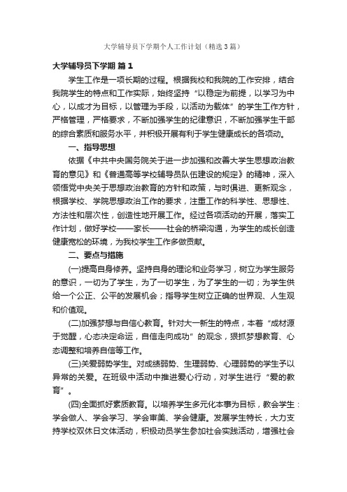 大学辅导员下学期个人工作计划（精选3篇）