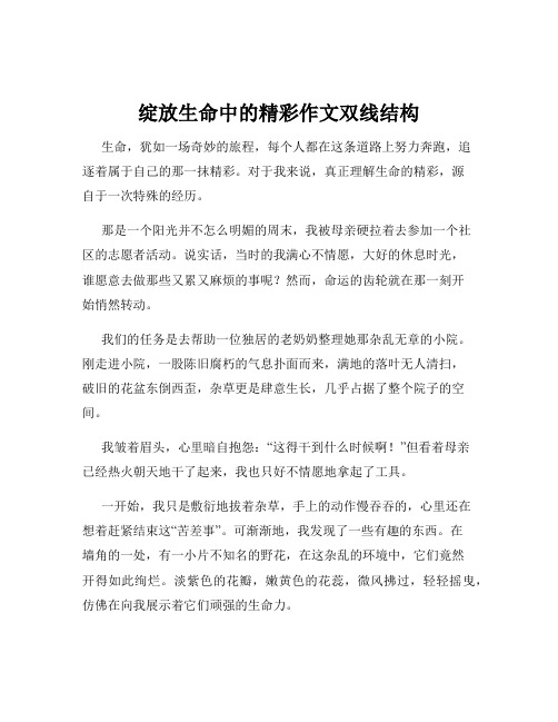 绽放生命中的精彩作文双线结构