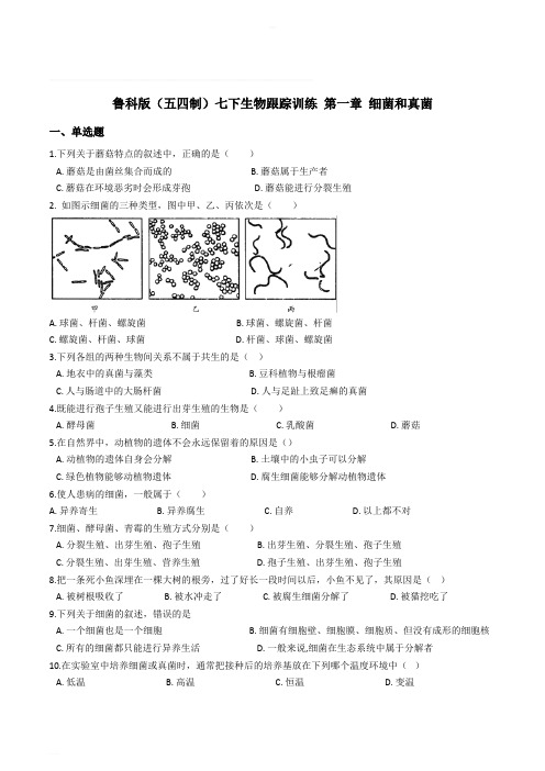 鲁科版(五四制)七下生物跟踪训练 第一章 细菌和真菌---精编含解析