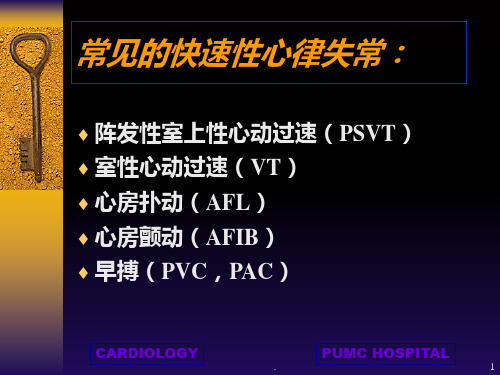 《快速性心律失常》PPT课件