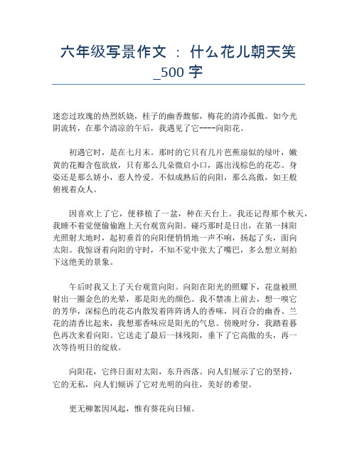 六年级写景作文 ： 什么花儿朝天笑_500字