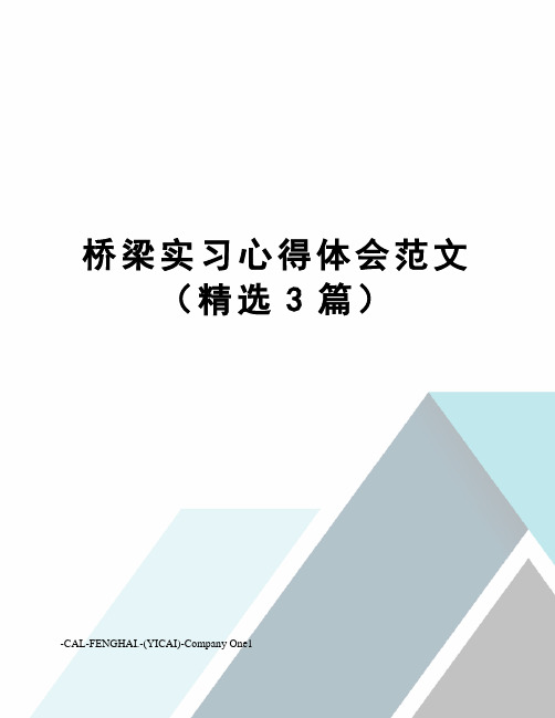 桥梁实习心得体会范文(精选3篇)