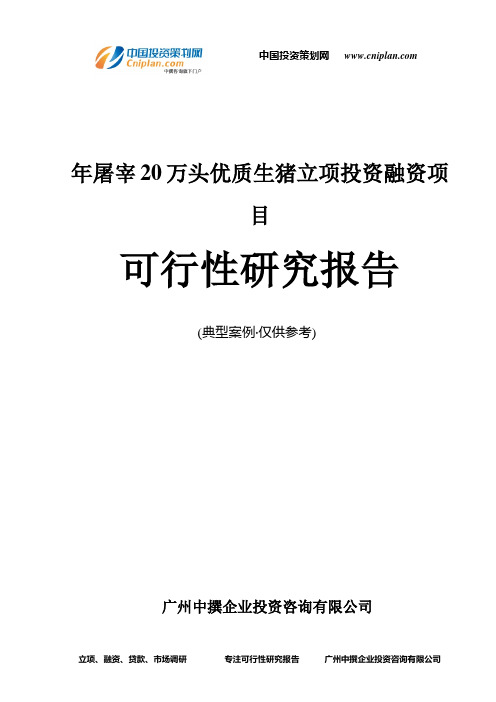 年屠宰20万头优质生猪融资投资立项项目可行性研究报告(非常详细)