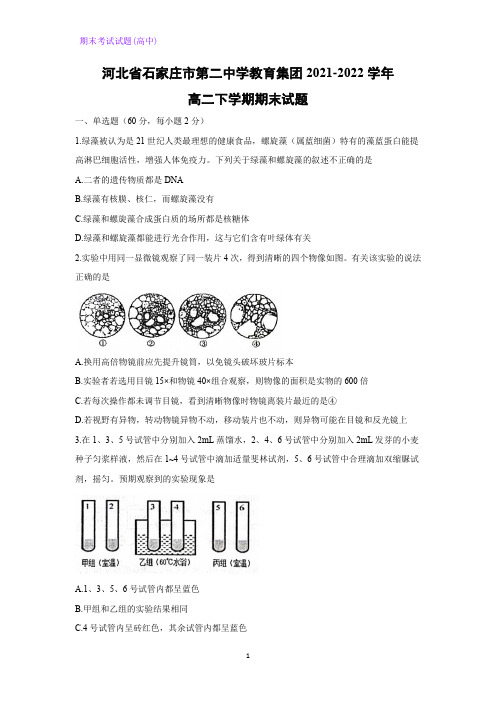 2021-2022学年河北省石家庄市第二中学教育集团高二下学期期末考试生物试题