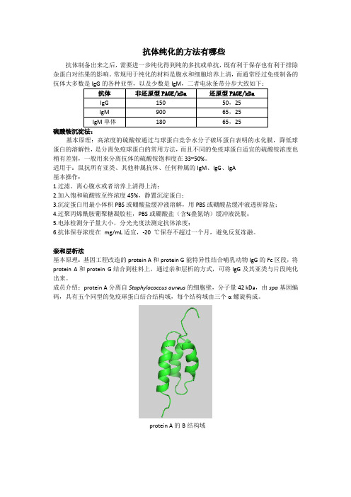 抗体纯化的方法有哪些