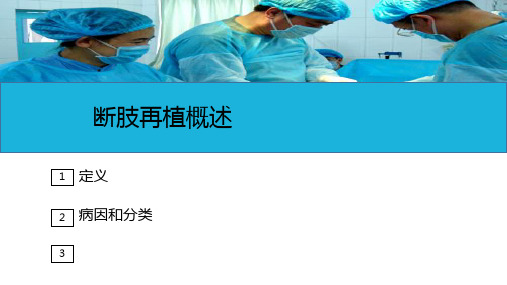 运动系统疾病病人的护理—断肢再植病人的护理(护理课件)