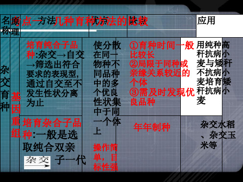 高三生物一轮总复习必修二从杂交育种到基因工程高效学习方略PPT