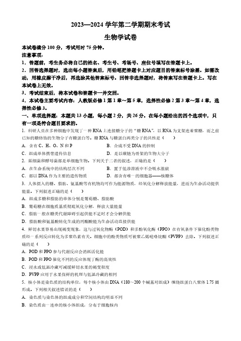 河北省部分名校2023-2024学年高二下学期期末联考生物试题(含答案)