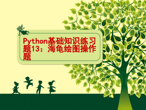 Python练习13：海龟绘图操作题