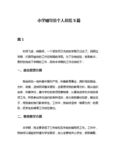 小学辅导员个人总结5篇