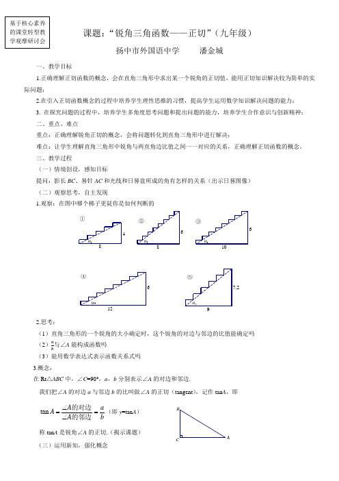 江苏科学技术出版社初中数学九年级下册   正切-全国获奖