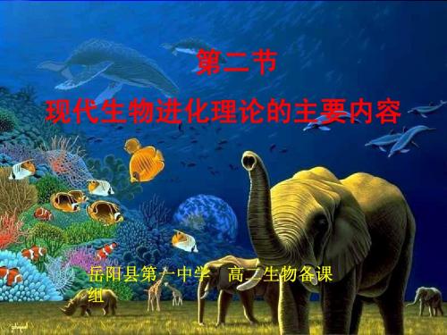 现代生物进化理论的主要内容(上课用)