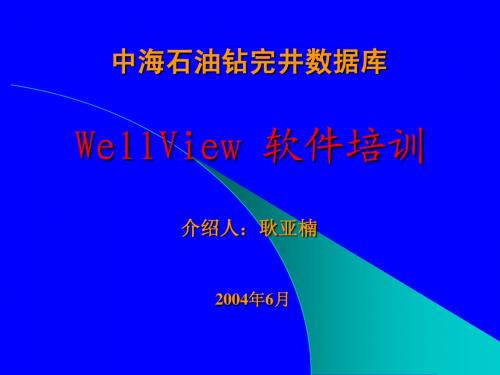 WellView 软件培训1