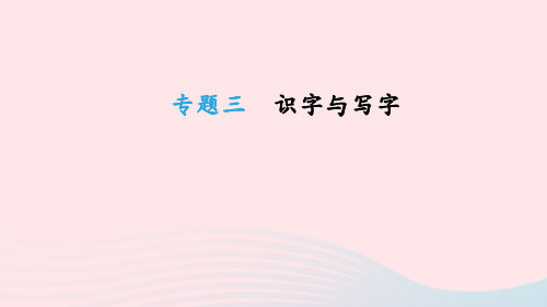 中考语文总复习二积累与运用专题03识字与写字课件
