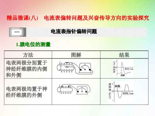 高中生物必修三   电流表偏转问题及兴奋传导方向的实验探究