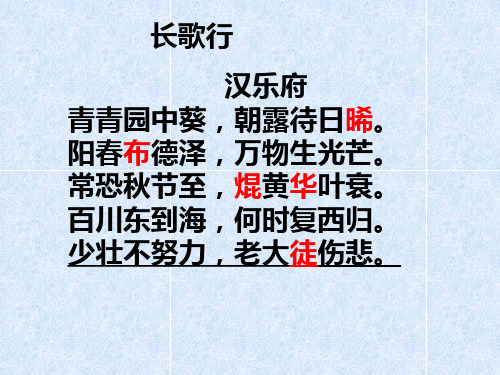 长歌行汉乐府青青园中葵朝露待日晞阳春布德泽万物生光辉