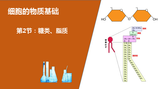 专题02 糖类、脂质-2021年高考生物一轮复习知识精讲课件(共29张PPT)