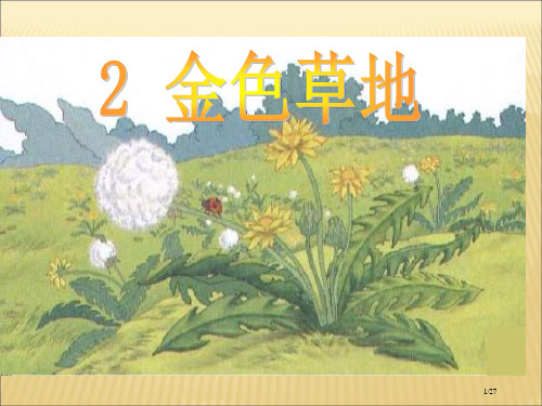 2.《金色的草地》PPT市名师优质课赛课一等奖市公开课获奖课件