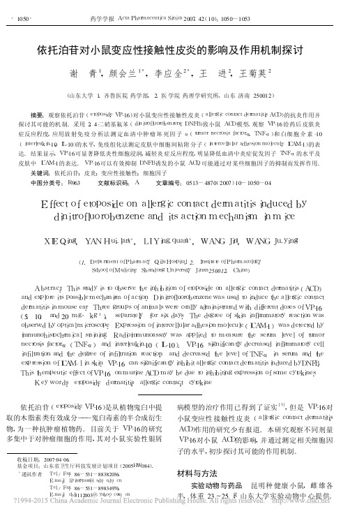 依托泊苷对小鼠变应性接触性皮炎的影响及作用机制探讨_谢青