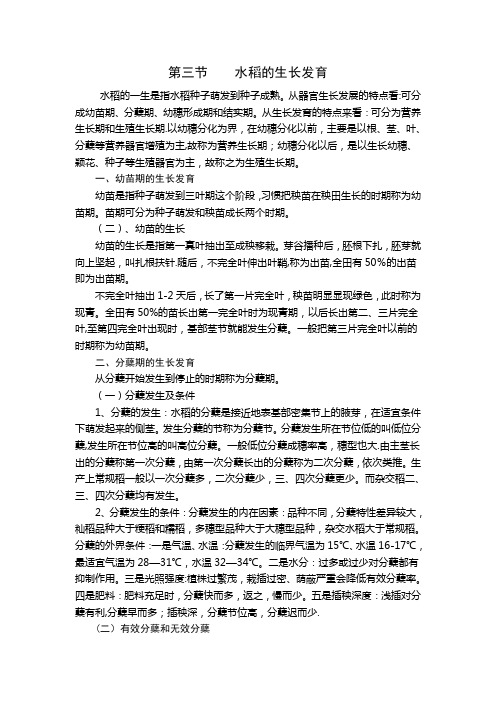 水稻的生长发育