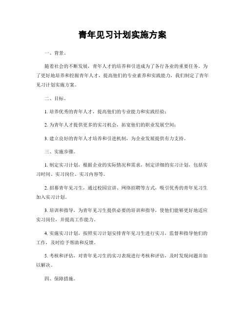 青年见习计划实施方案