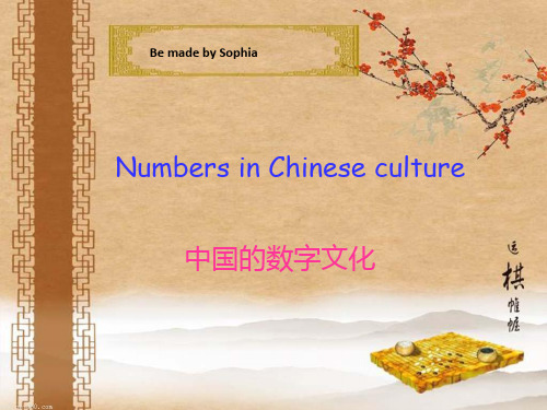 中国的数字文化英语版