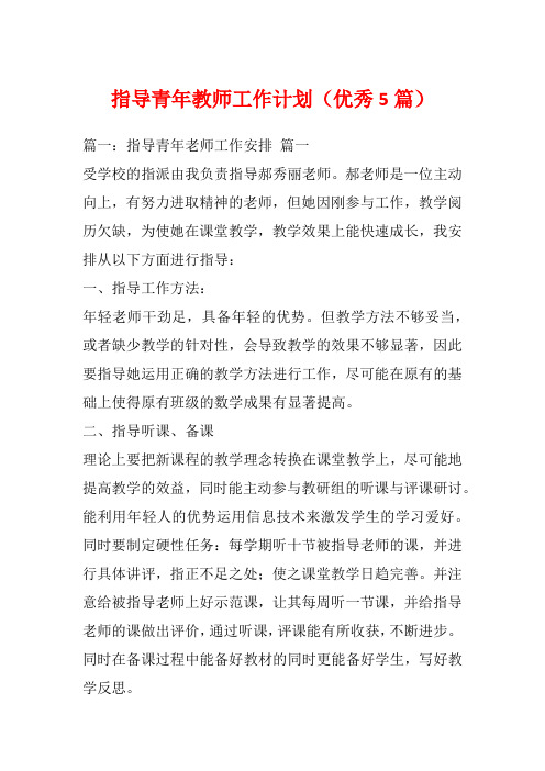 指导青年教师工作计划(优秀5篇)