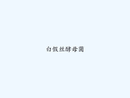 白假丝酵母菌 PPT