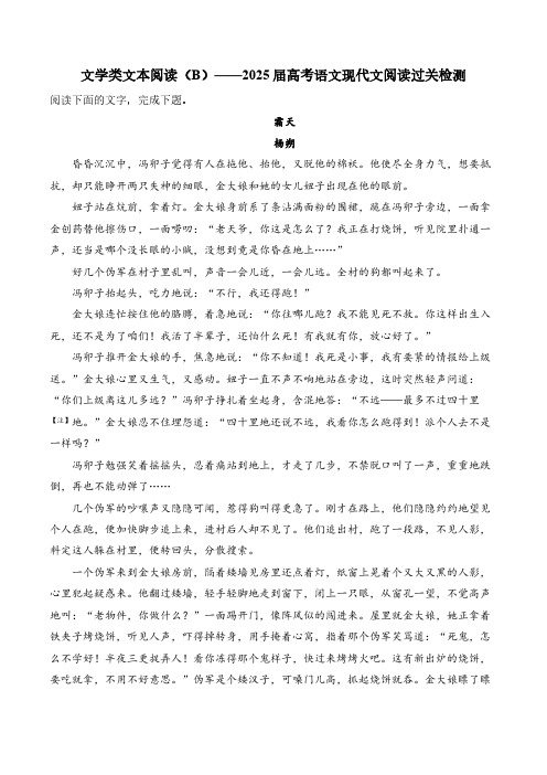 2025届高考语文现代文阅读过关检测文学类文本阅读(B)(含解析)