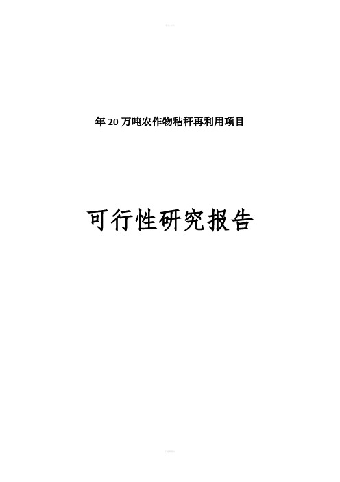 年产20万吨农作物秸秆再利用建设项目可行研究报告