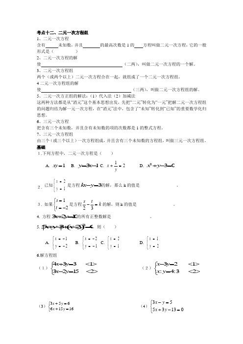 中考数学复习考点十二二元一次方程