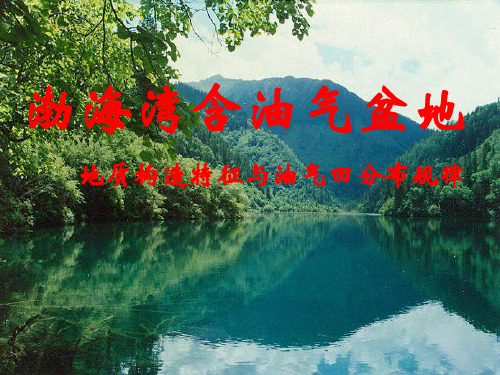 3.渤海湾含油气盆地[总]