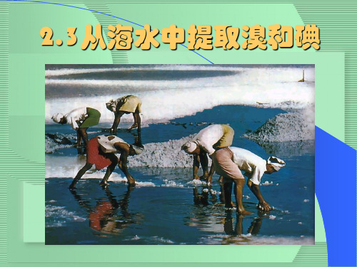 化学高一上册-2.3 从海水中提取溴和碘 课件