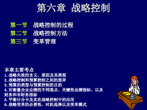 第六章+企业战略控制共17页PPT资料