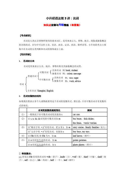 小升初语法专题讲练第3讲名词的数