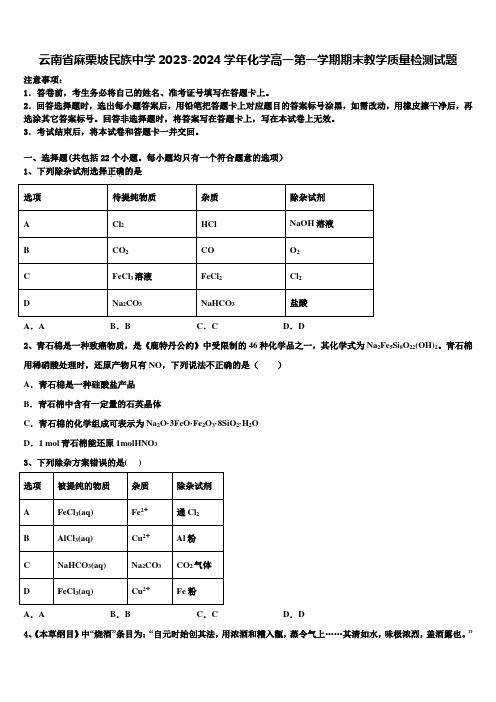 云南省麻栗坡民族中学2023-2024学年化学高一第一学期期末教学质量检测试题含解析