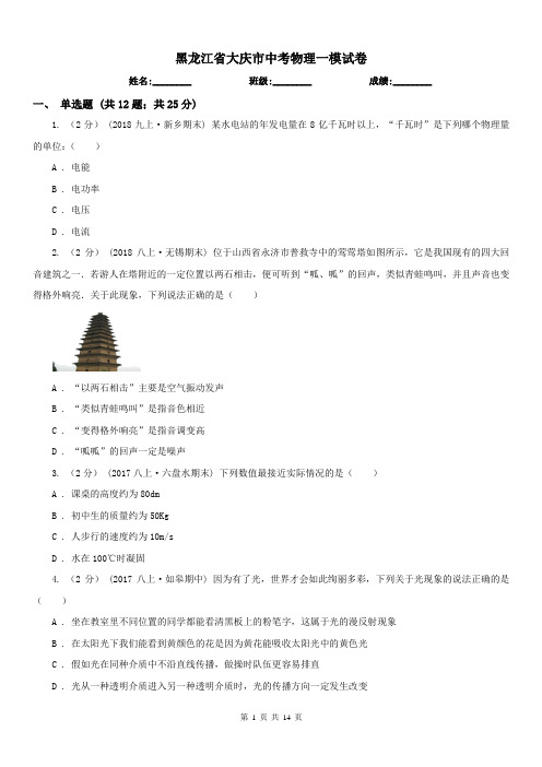 黑龙江省大庆市中考物理一模试卷