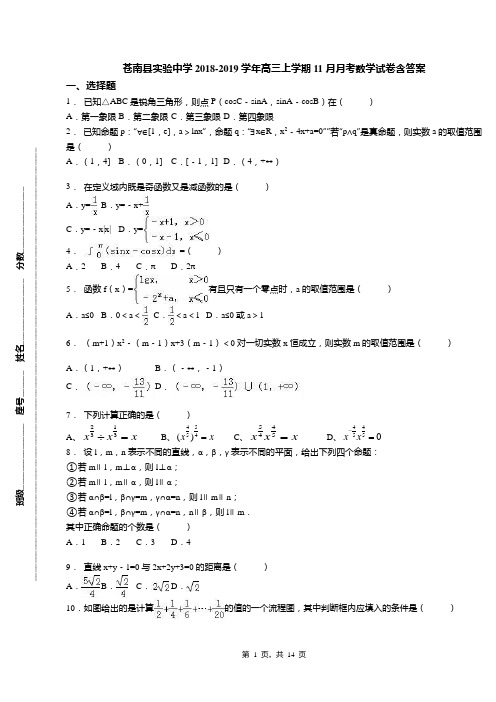 苍南县实验中学2018-2019学年高三上学期11月月考数学试卷含答案