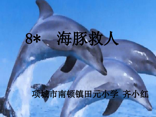 8海豚救人