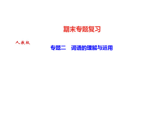 人教部编版(达州)九年级语文上册课件：专题二 词语的理解与运用(共11张PPT)