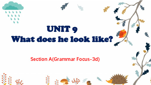 七年级英语下册Unit9 What does he look like SectionA Grammar