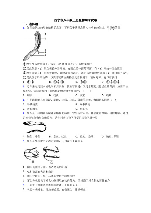 西宁市八年级上册生物期末试卷