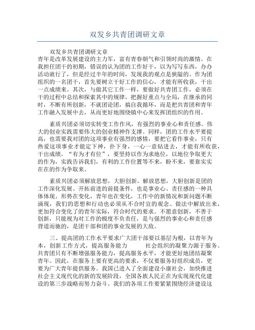 双发乡共青团调研文章