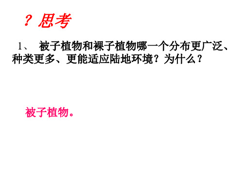 为什么说被子植物比裸子植物更适应陆地环境