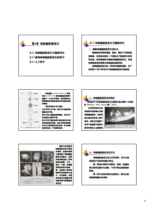 第4章 体细胞胚胎发生