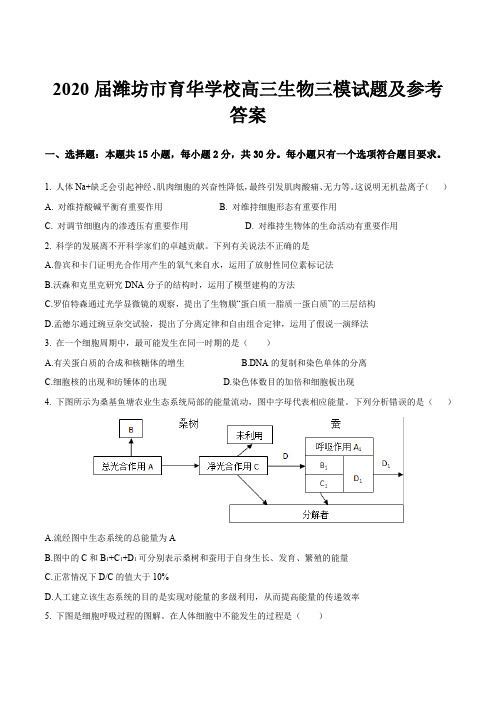 2020届潍坊市育华学校高三生物三模试题及参考答案