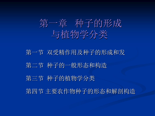 种子生产技术课件——种子的形成与植物学分类