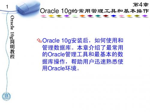 oracle 10g使用介绍