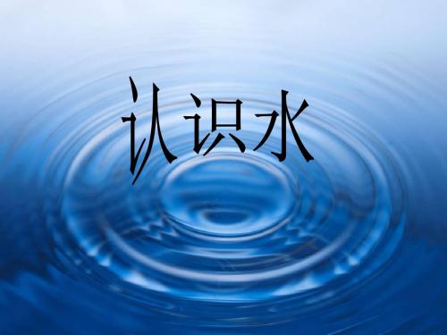 三年级科学上册4.1认识水PPT课件1青岛版五四制