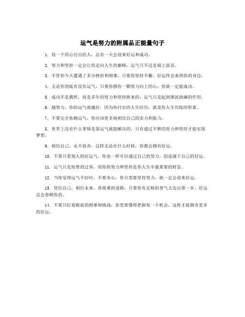 运气是努力的附属品正能量句子